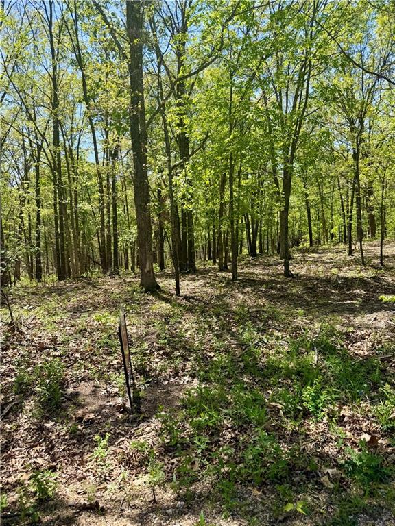 Listing Photo MLS #HMS2606187