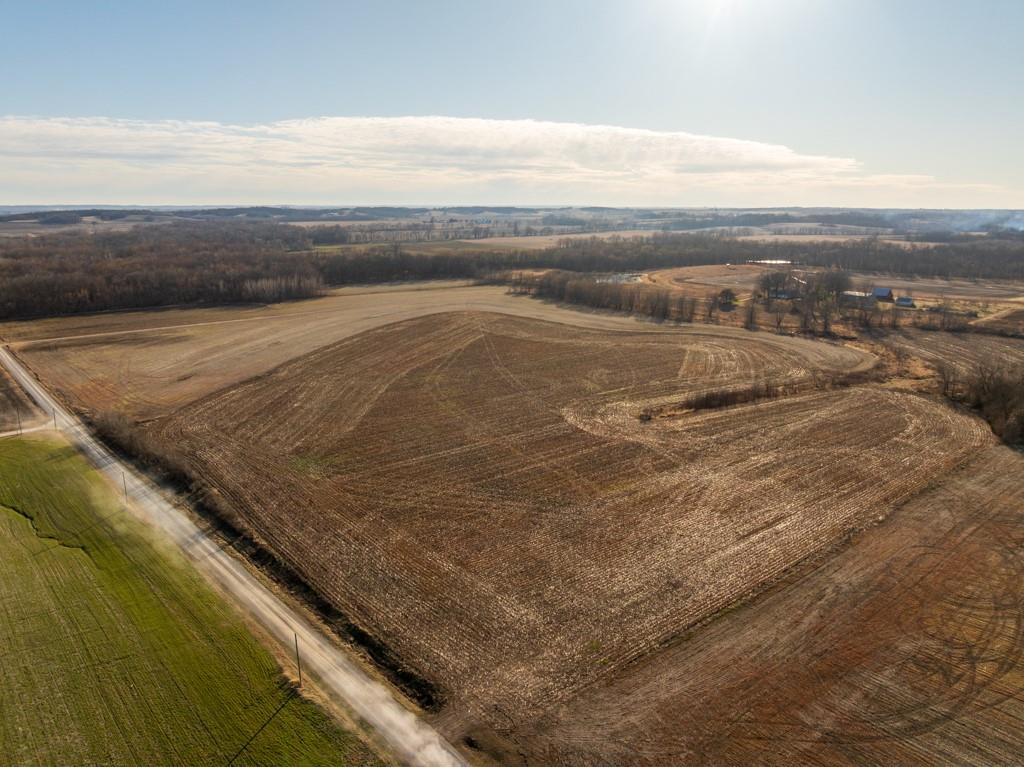 Listing Photo MLS #HMS2606293