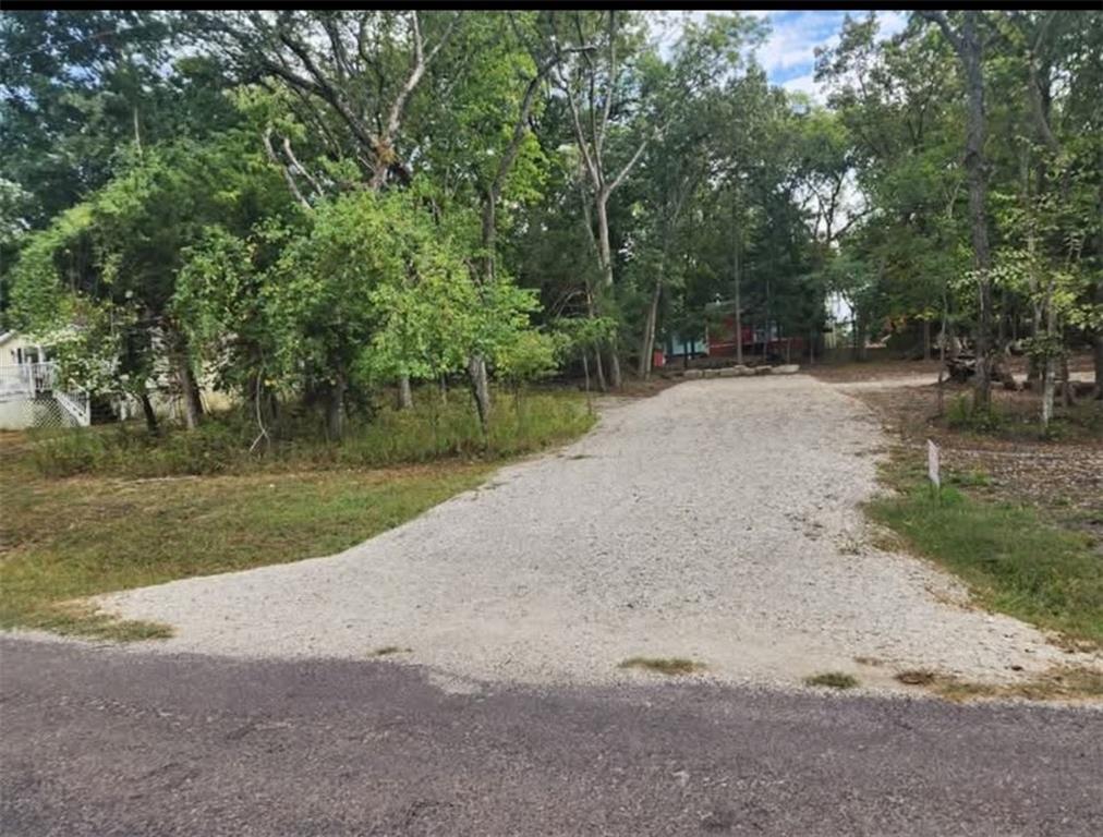 Listing Photo MLS #HMS2606919