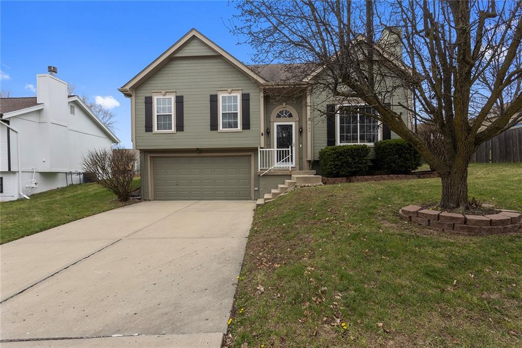 Listing Photo MLS #HMS2607647