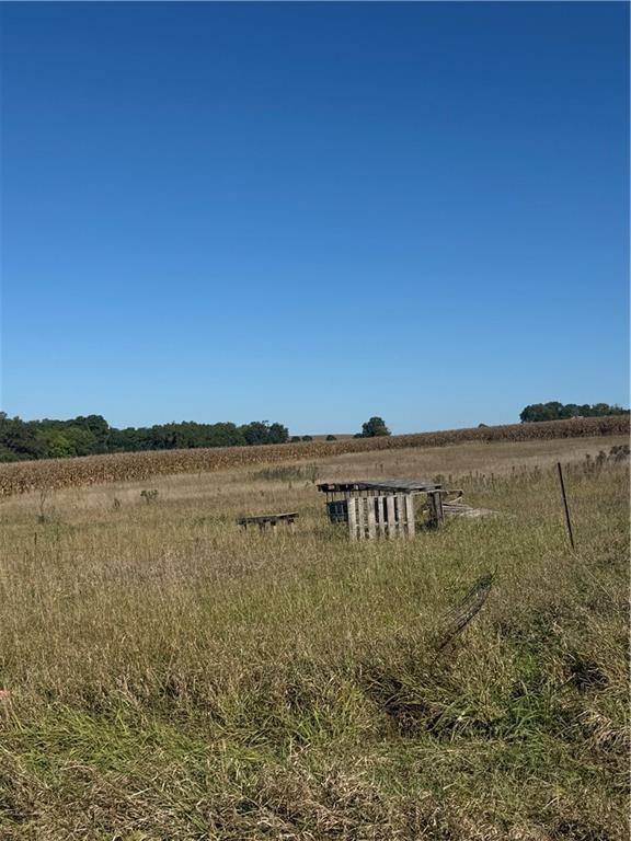 Listing Photo MLS #HMS2608257