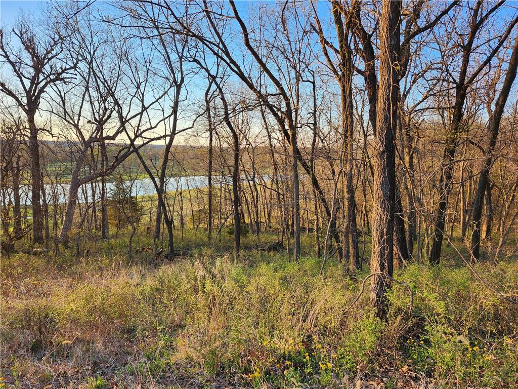 Listing Photo MLS #HMS2610770