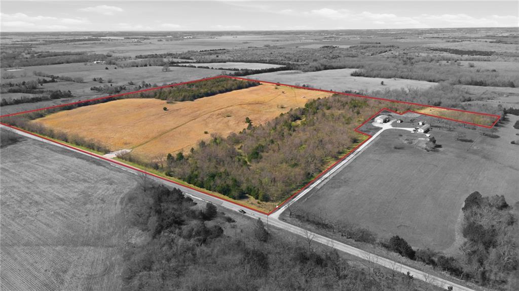 Listing Photo MLS #HMS2612335