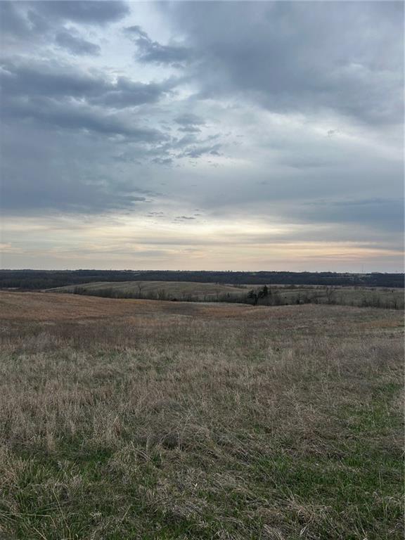 Listing Photo MLS #HMS2613474