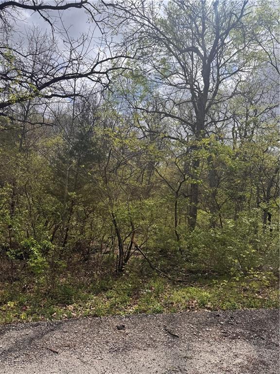 Listing Photo MLS #HMS2614588