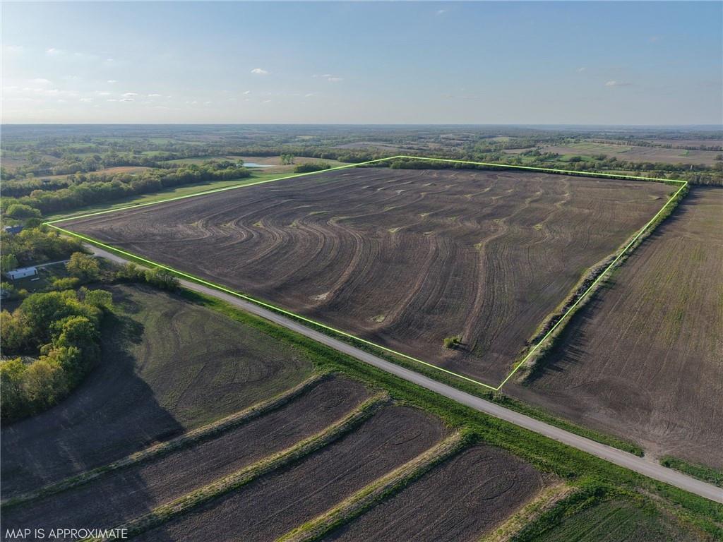 Listing Photo MLS #HMS2614918