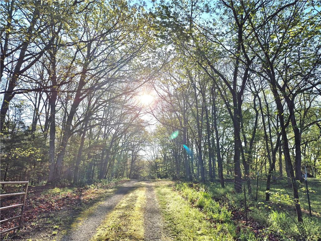 Listing Photo MLS #HMS2615027