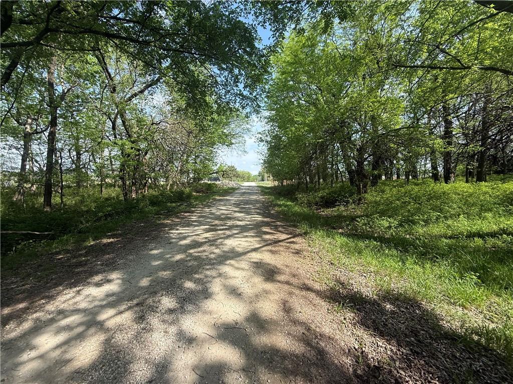 Listing Photo MLS #HMS2615142