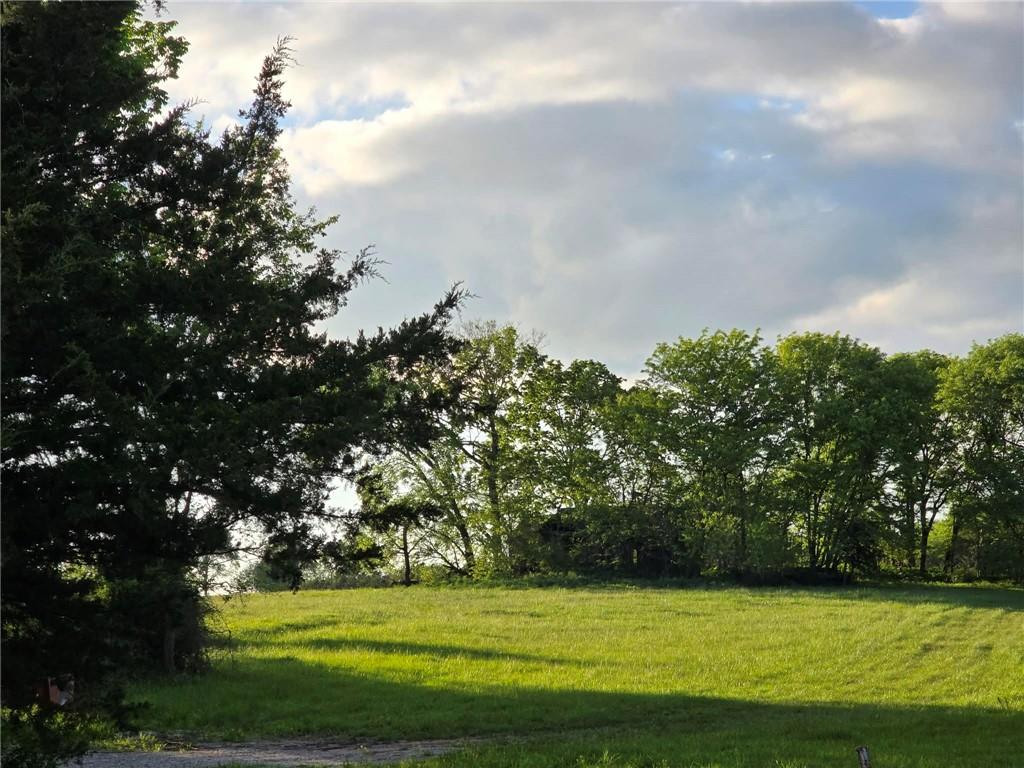 Listing Photo MLS #HMS2616045