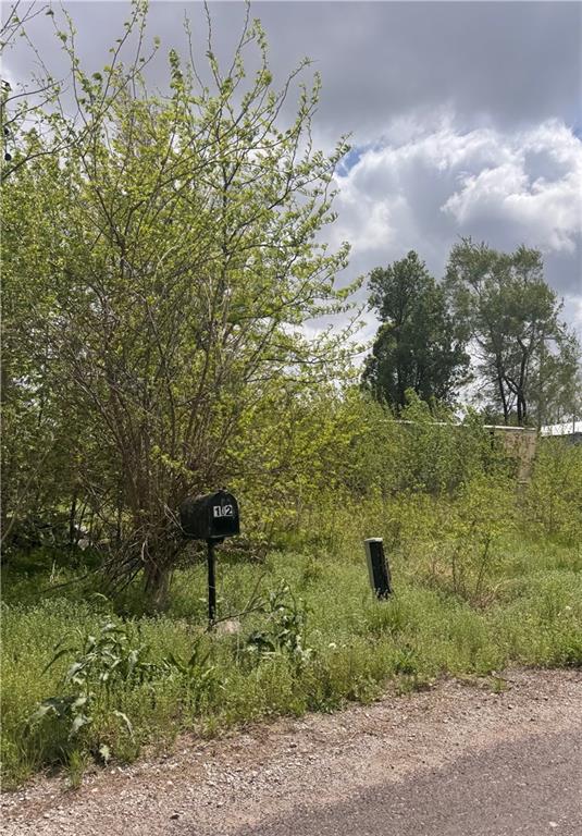 Listing Photo MLS #HMS2616486