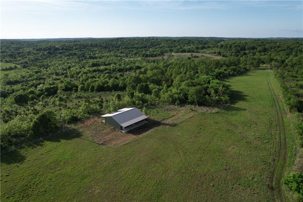 Listing Photo MLS #HMS2616605