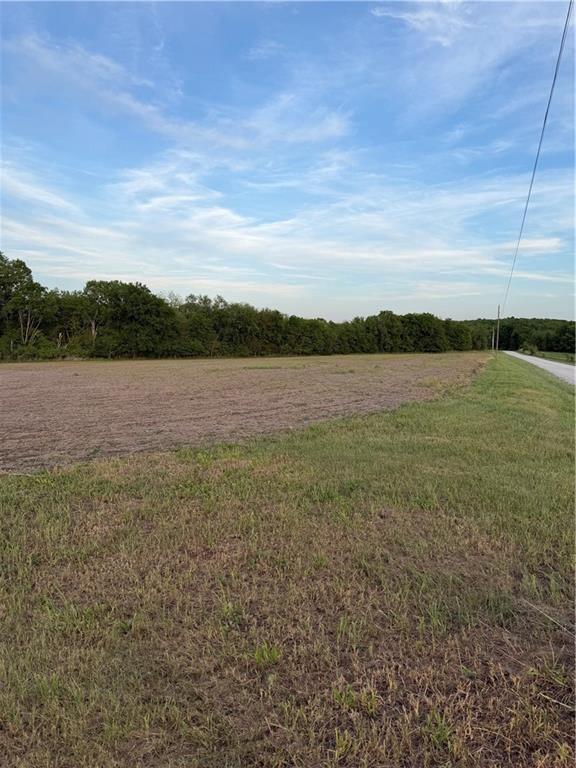 Listing Photo MLS #HMS2616658
