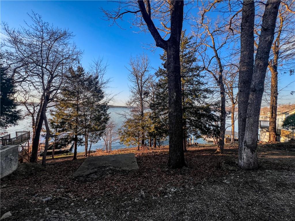 Listing Photo MLS #HMS2616727