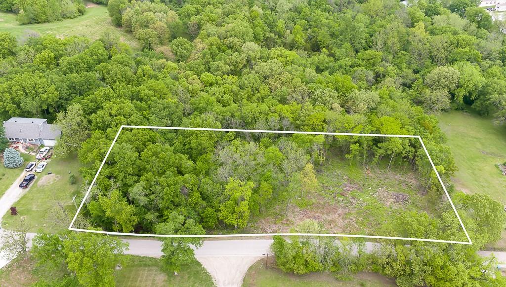 Listing Photo MLS #HMS2616945