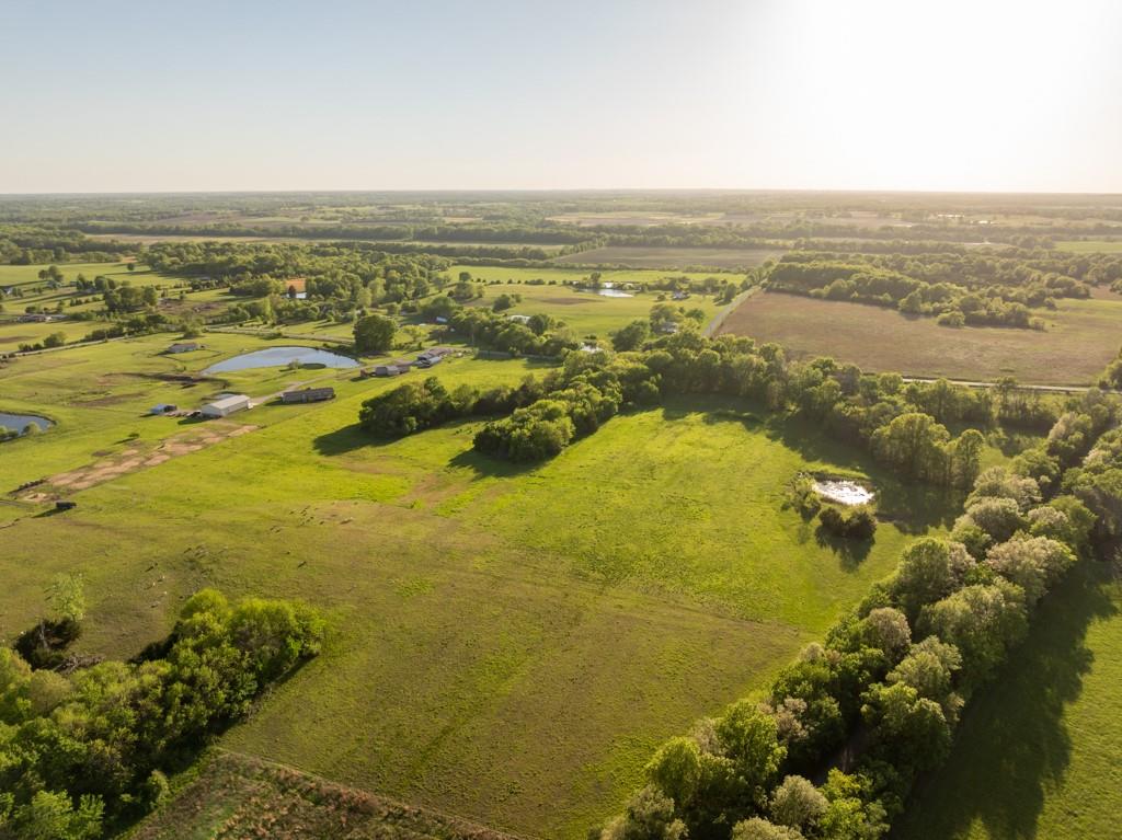 Listing Photo MLS #HMS2617193