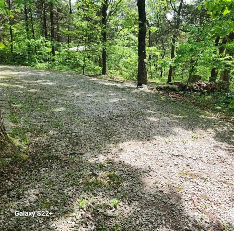 Listing Photo MLS #HMS2617338