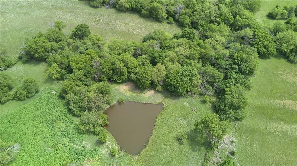 Listing Photo MLS #HMS2617512