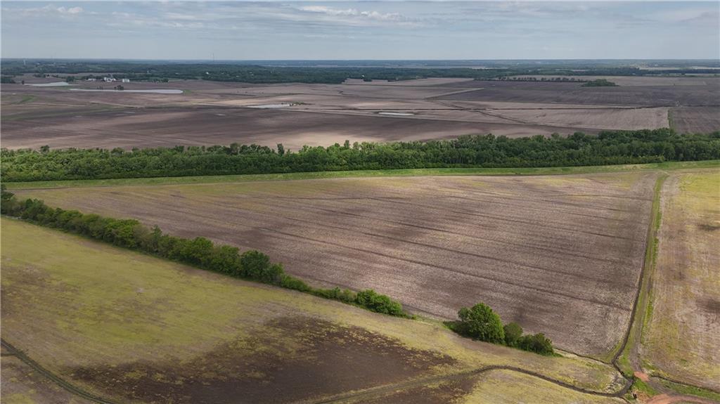 Listing Photo MLS #HMS2617629