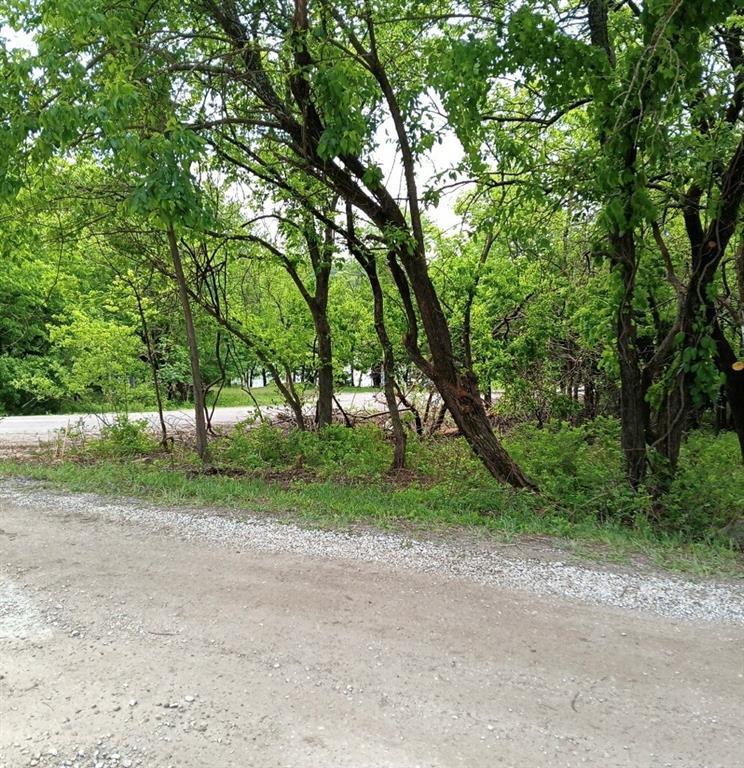 Listing Photo MLS #HMS2617986