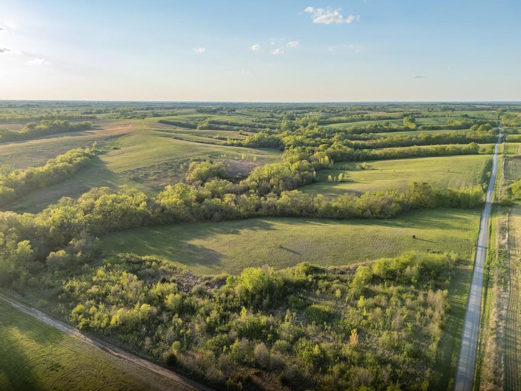 Listing Photo MLS #HMS2618051