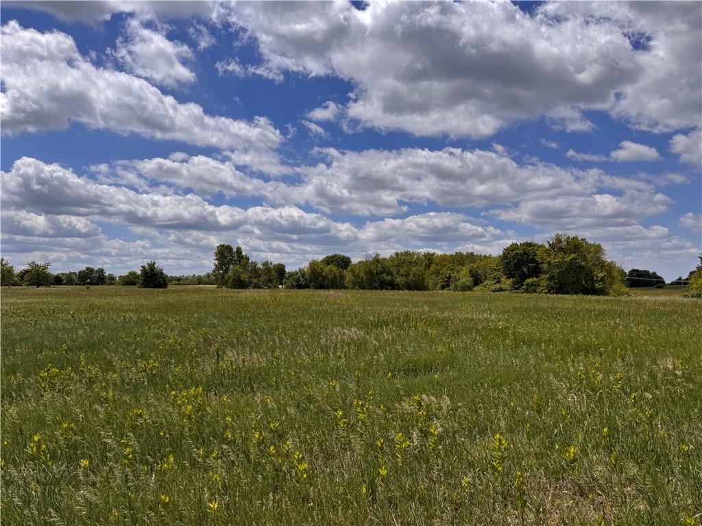 Listing Photo MLS #HMS2618769