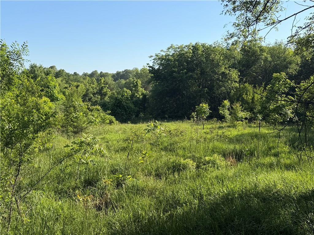 Listing Photo MLS #HMS2619726
