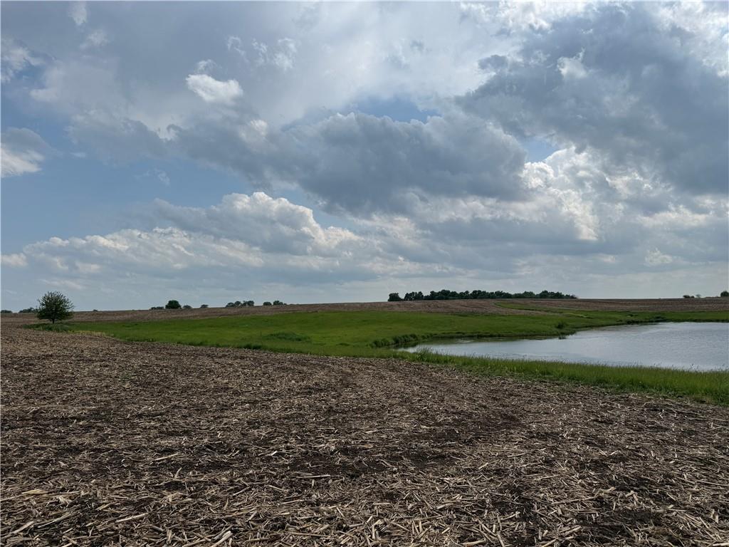 Listing Photo MLS #HMS2620785