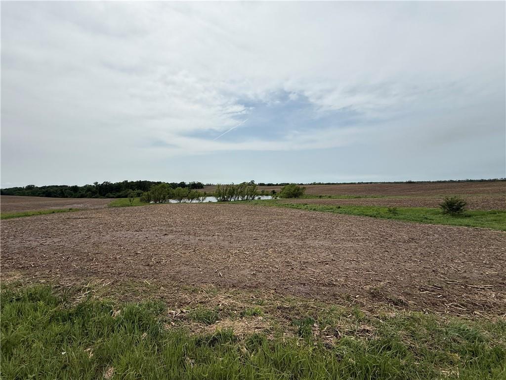 Listing Photo MLS #HMS2621119