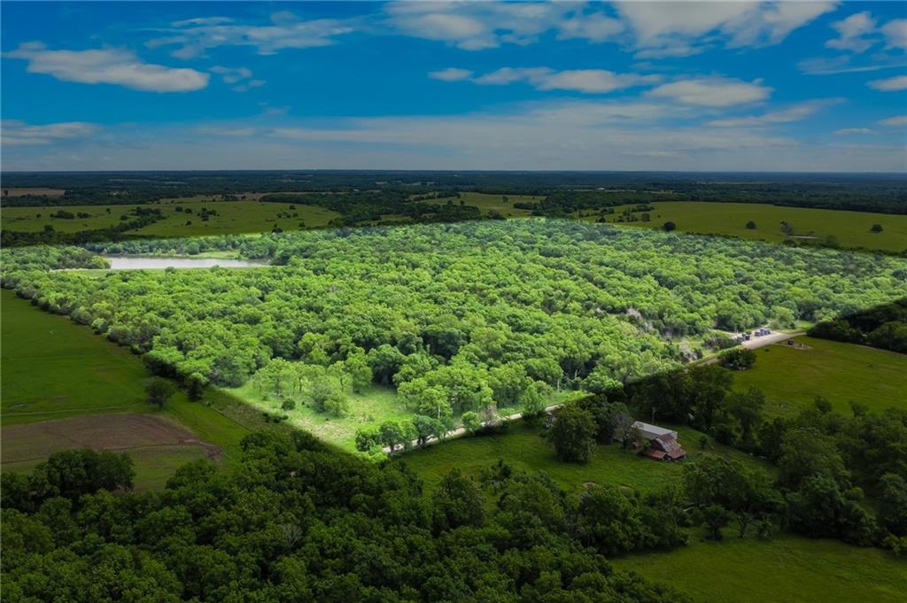 Listing Photo MLS #HMS2621191