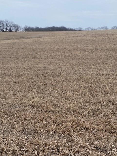 Listing Photo MLS #HMS2621230