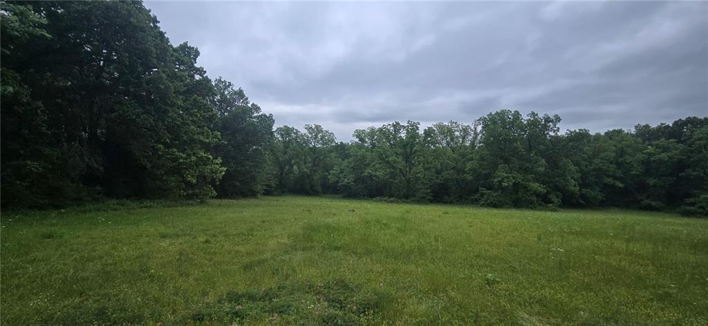 Listing Photo MLS #HMS2621687