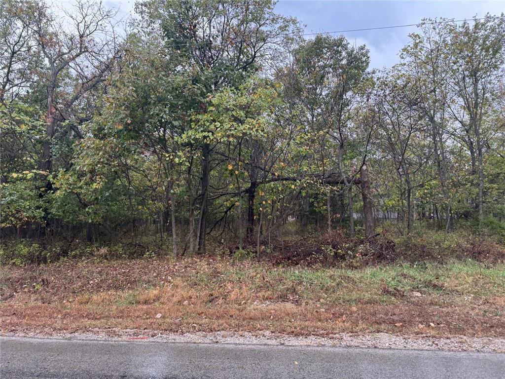 Listing Photo MLS #HMS2621865