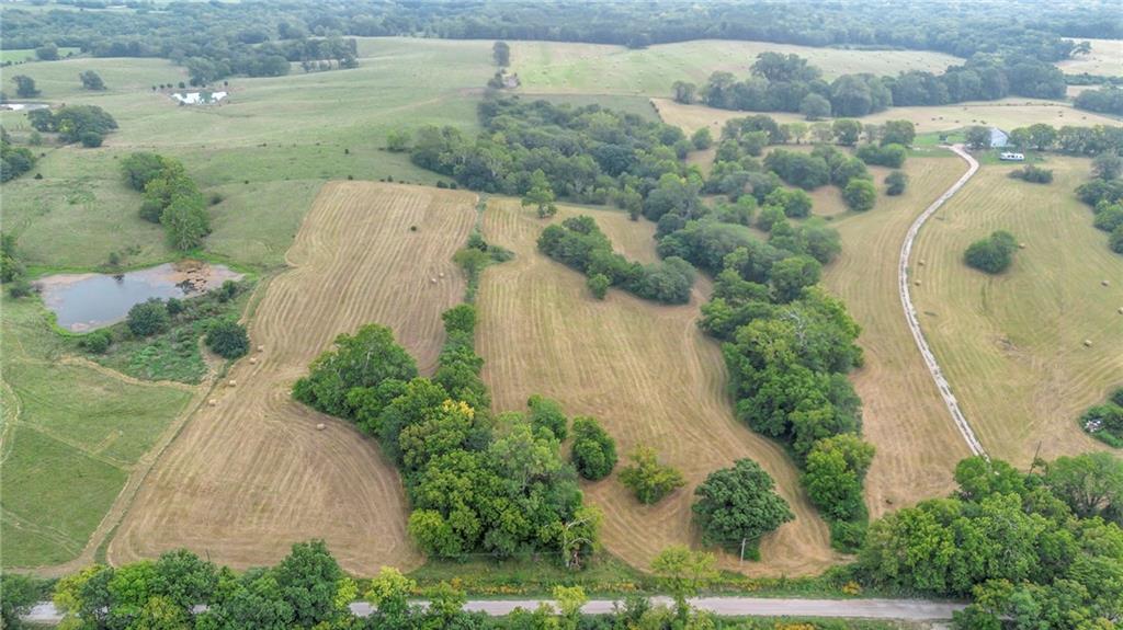 Listing Photo MLS #HMS2622599