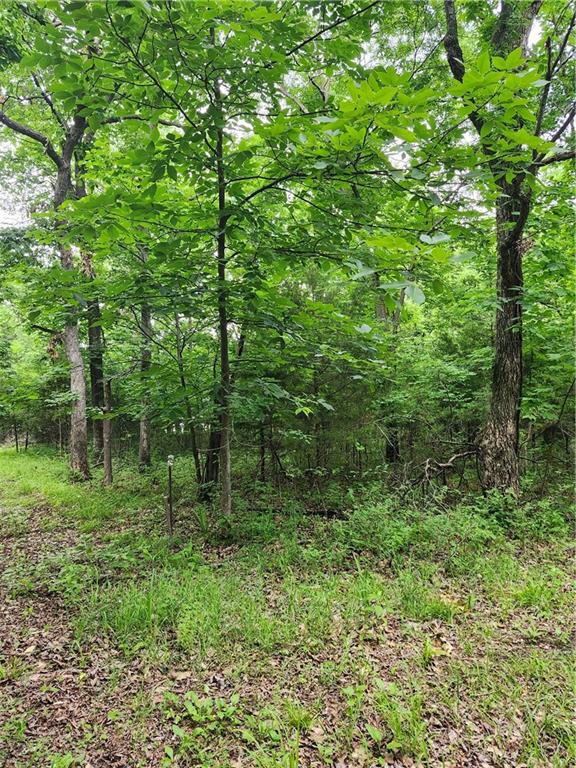 Listing Photo MLS #HMS2623217
