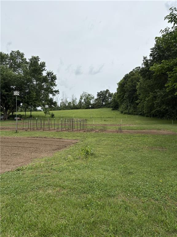 Listing Photo MLS #HMS2623334