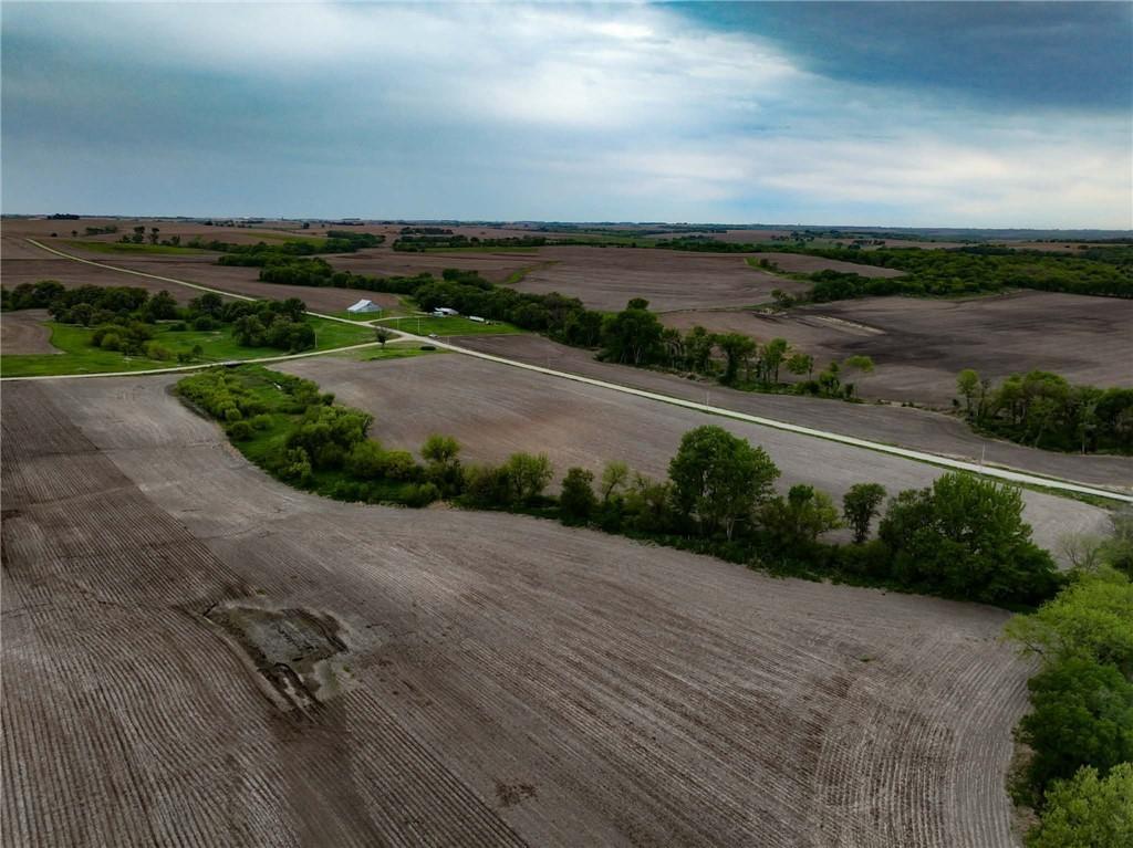 Listing Photo MLS #HMS2623336