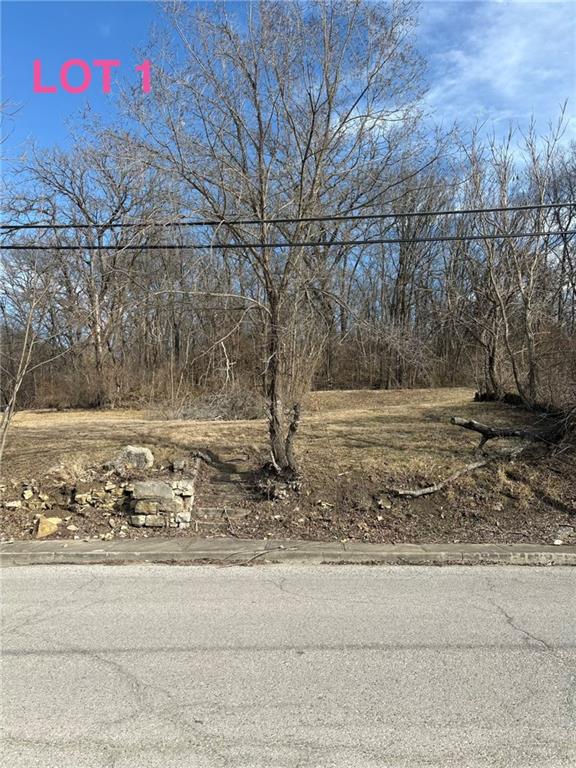 Listing Photo MLS #HMS2624376