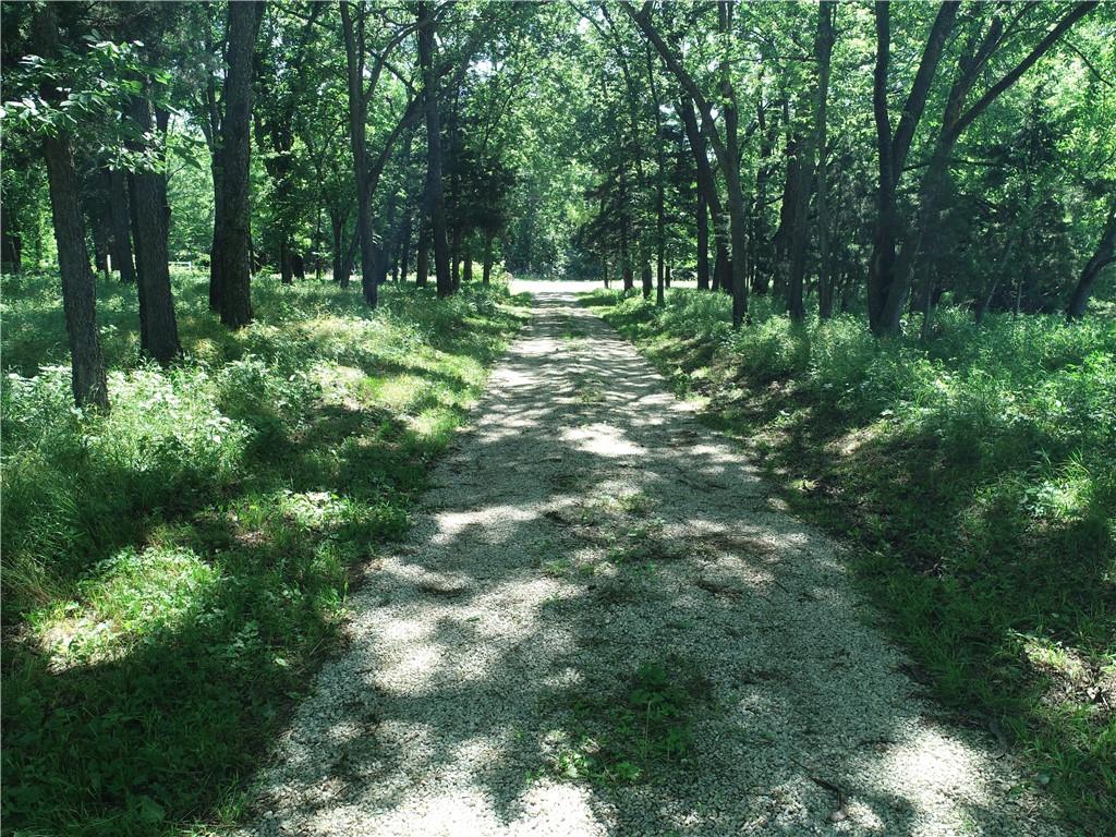 Listing Photo MLS #HMS2624896