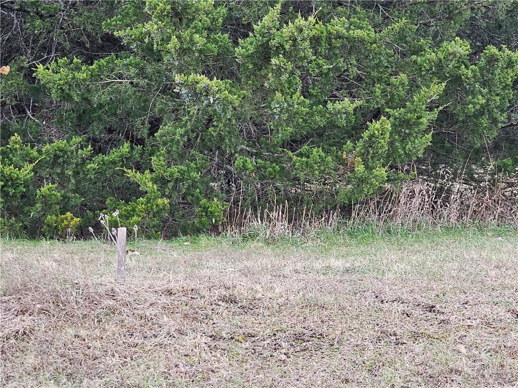 Listing Photo MLS #HMS2629002