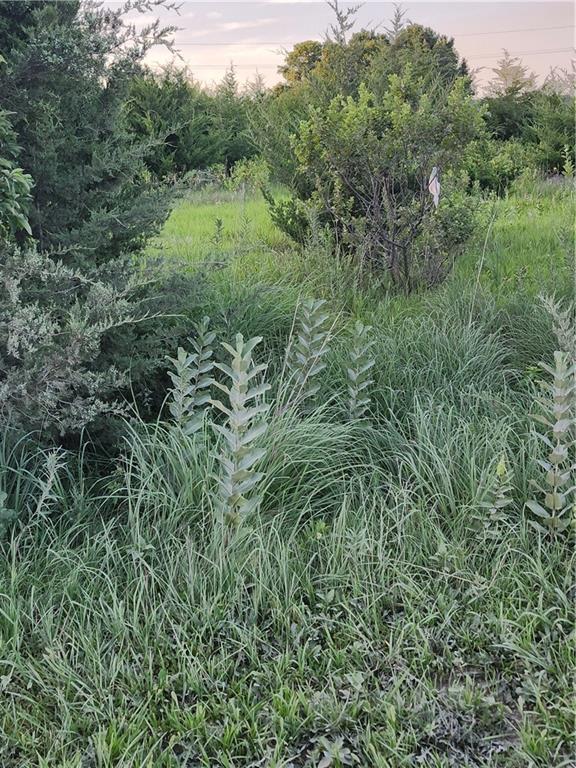 Listing Photo MLS #HMS2630045