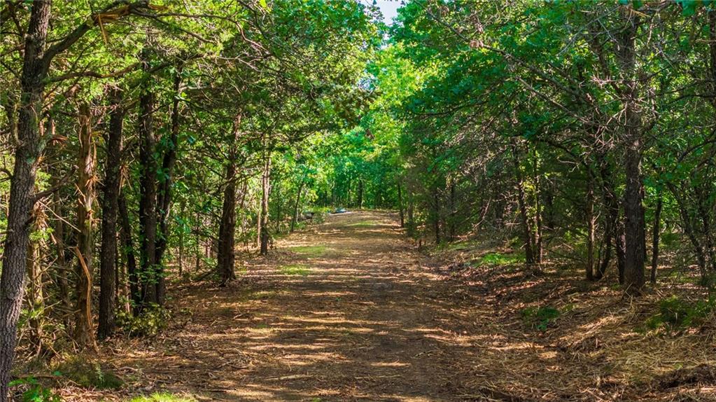 Listing Photo MLS #HMS2630129