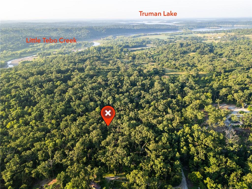 Listing Photo MLS #HMS2630409
