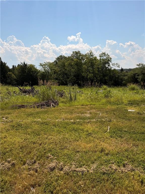 Listing Photo MLS #HMS2631185