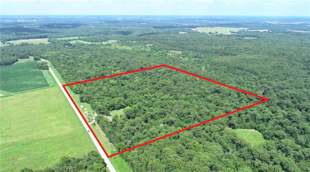 Listing Photo MLS #HMS2631743