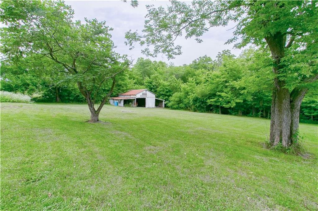 Listing Photo MLS #HMS2632439