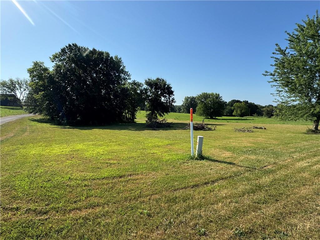 Listing Photo MLS #HMS2632702