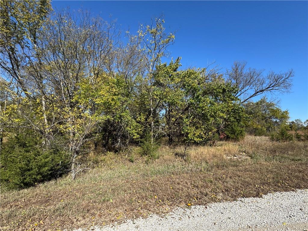 Listing Photo MLS #HMS2632883