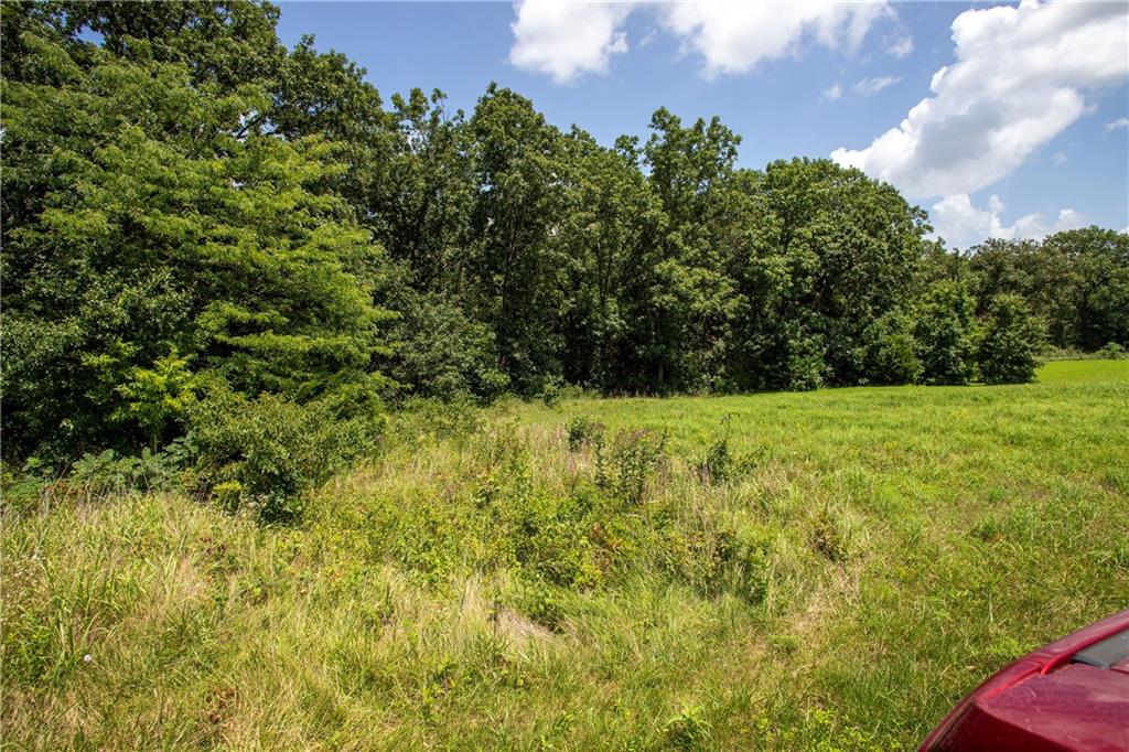 Listing Photo MLS #HMS2633116