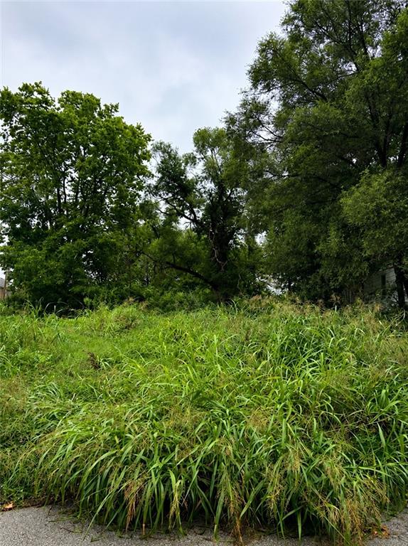 Listing Photo MLS #HMS2633199