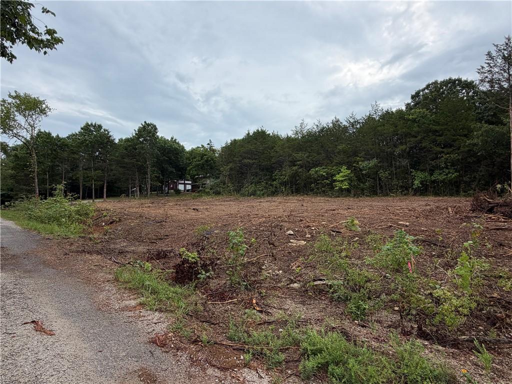 Listing Photo MLS #HMS2633437